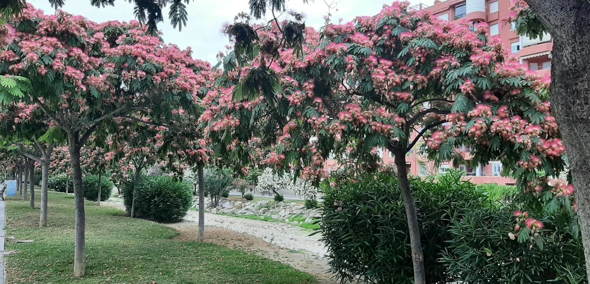 Apartment Las Salinas Boliches Фуэнхирола